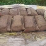 சோழவந்தான் மற்றும் சுற்று வட்டார பகுதியில் நெல் கொள்முதல் நிலையங்களை திடீரென மூடியதால் நெல் மூட்டைகள் மழையில் நனைந்து முளைத்து சேதமடைந்துள்ளது