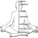 மனித இயக்கத்தின் ஏழு ஆற்றல் சக்கரங்கள்..!