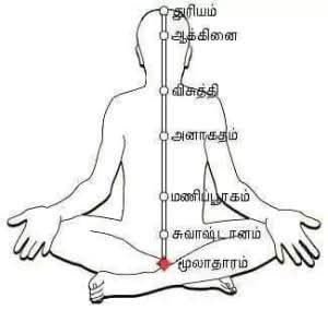 மனித இயக்கத்தின் ஏழு ஆற்றல் சக்கரங்கள்..!