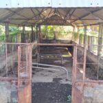 கால்நடை மருத்துவமனையை சீரமைக்க கோரிக்கை