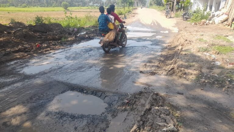 சோழவந்தான் அருகே ஊத்துக்குளி முதல் நாராயணபுரம் வரை சாலையை சீரமைக்க பொதுமக்கள் கோரிக்கை