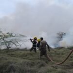 விமான நிலையம் அருகே புல்லில் தீ!