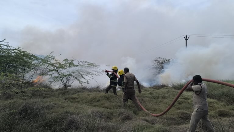 விமான நிலையம் அருகே புல்லில் தீ!