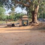 கோவில் கமிட்டி என்ற பெயரில் திமுக கவுன்சிலர்கள் அரசு நிலம் 2.6 ஏக்கர் ஆக்கிரமிப்பு.