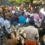 வாடிப்பட்டி வார சந்தையில் பக்ரீத் பண்டிகை ரூ.50 லட்சத்திற்கு ஆடுகள் விற்பனை.