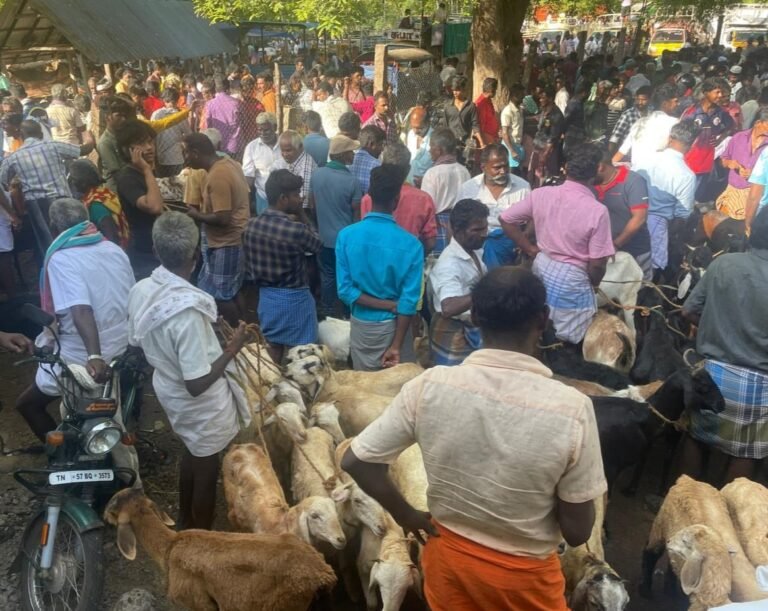 வாடிப்பட்டி வார சந்தையில் பக்ரீத் பண்டிகை ரூ.50 லட்சத்திற்கு ஆடுகள் விற்பனை.