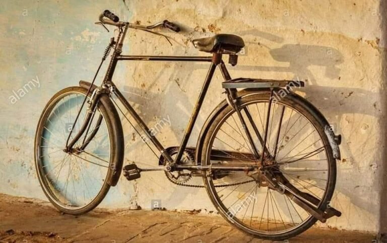 ஜூன் 3 உலக மிதிவண்டி தினம்.