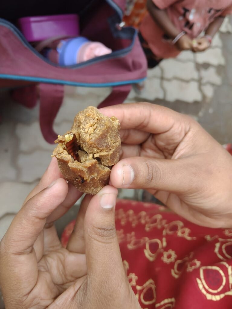 மதுரை மாநகராட்சி பழங்காநத்தம் அங்கன்வாடி மையத்தில் குழந்தைகளுக்கு வழங்கப்பட்ட கொழுக்கட்டையில் கரப்பான் பூச்சி இருந்ததால் பரபரப்பு