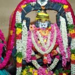 வைகாசி விசாகம். முருகன் கோவில் சிறப்பு அபிஷேகம் நடைபெற்றது.