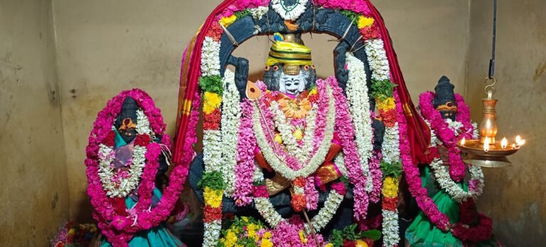 வைகாசி விசாகம். முருகன் கோவில் சிறப்பு அபிஷேகம் நடைபெற்றது.