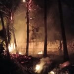 வாய்க்கால்கள் தூர்வாரும் பணிகளில் முறைகேடு!