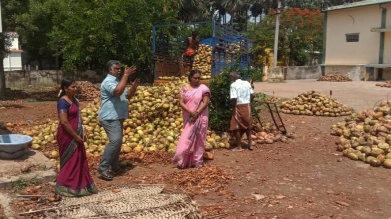 வாடிப்பட்டி ஒழுங்குமுறை விற்பனை கூடத்தில் ரூ.17 லட்சத்திற்கு தேங்காய் ஏலம் நடந்தது.