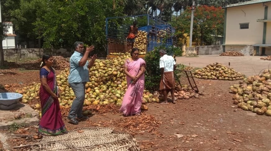 வாடிப்பட்டி ஒழுங்குமுறை விற்பனை கூடத்தில் ரூ.17 லட்சத்திற்கு தேங்காய் ஏலம் நடந்தது.