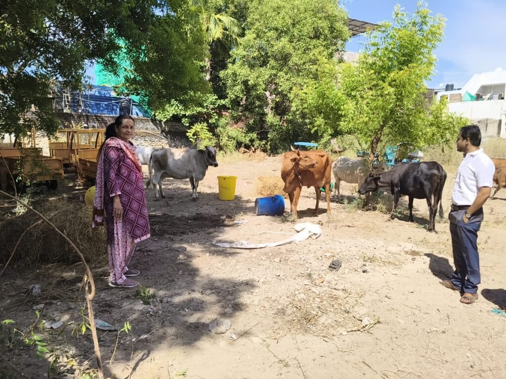 வீதிகளில் சுற்றித்திறிந்த கால்நடைகள் பிடிக்க மாவட்ட ஆட்சியர் உத்தரவு.