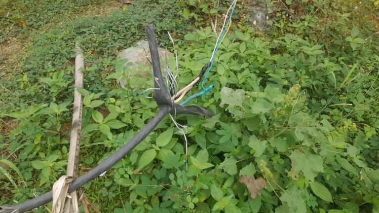 சோழவந்தான் அருகே விவசாய நிலங்களில் ஆபத்தான நிலையில் மின்வயர்கள் !