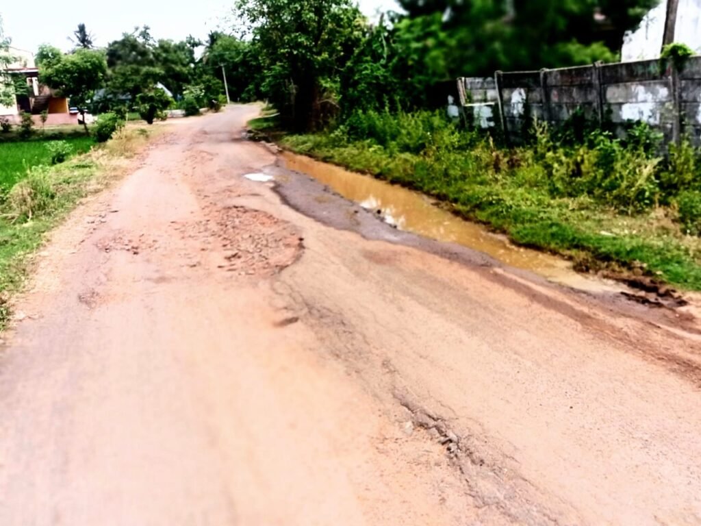 குண்டும் குழியுமாக காட்சியளிக்கும் திருநன்றியூர்-ஆலவேலி சாலையை உடனே சீரமைக்க சமூக ஆர்வலர் அ.அப்பர்சுந்தரம் கோரிக்கை!