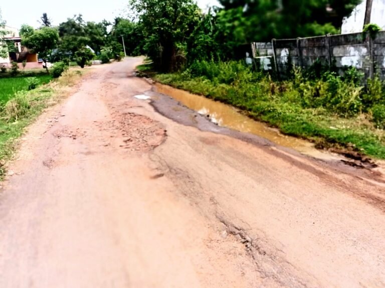 குண்டும் குழியுமாக காட்சியளிக்கும் திருநன்றியூர்-ஆலவேலி சாலையை உடனே சீரமைக்க சமூக ஆர்வலர் அ.அப்பர்சுந்தரம் கோரிக்கை!