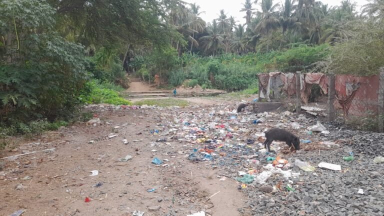 சோழவந்தான் அருகே முள்ளிபள்ளத்தில் வைகை ஆற்றிற்கு செல்ல தரைப்பாலம் அமைத்து தர பொதுமக்கள் கோரிக்கை!