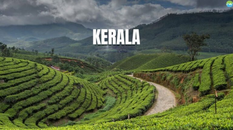 மலையாளிகள் இனி, தமிழையும் கற்றுக் கொள்ள வேண்டும்...!