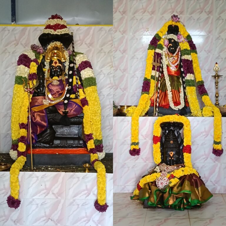 ஸ்ரீபெரும்புதூர்-கொளத்தூரில் ஸ்ரீதேவி கருமாரியம்மன் ஆலயம் குடமுழுக்கு நன்னீராட்டு விழா