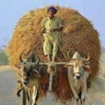 எளிய முறையில் சரணாகதி விளக்கம்