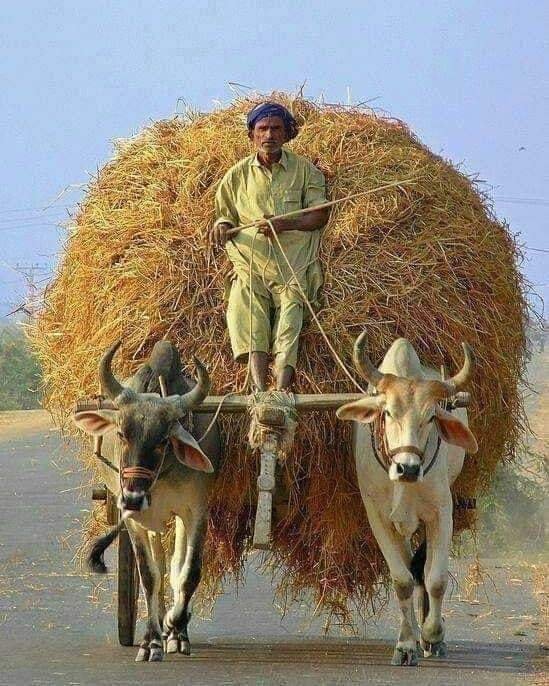 எளிய முறையில் சரணாகதி விளக்கம்