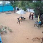 மதுரையில் வீட்டிற்குள் புகுந்து பள்ளி சிறுவன் மற்றும் அவரது தந்தையை கடித்து குதறிய தெரு நாய் - பயத்தில் அலறி ஓடிய குடும்பத்தினர் - அதிர்ச்சி சிசிடிவி காட்சி: