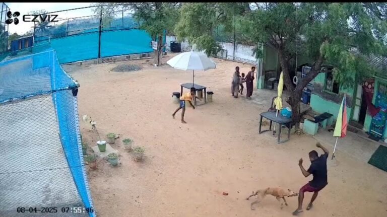 மதுரையில் வீட்டிற்குள் புகுந்து பள்ளி சிறுவன் மற்றும் அவரது தந்தையை கடித்து குதறிய தெரு நாய் - பயத்தில் அலறி ஓடிய குடும்பத்தினர் - அதிர்ச்சி சிசிடிவி காட்சி: