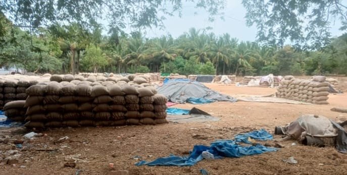 சோழவந்தானில் அரசு நெல் கொள்முதல் நிலையம் செயல்படாததால் அறுவடை செய்த நெல்லை அலங்காநல்லூருக்கு கொண்டு செல்லும் விவசாயிகள்