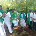 வாடிப்பட்டி பெருமாள் கண்மாய் பகுதியில் 123 மரக்கன்றுகள் நடவு பேரூராட்சி தலைவர் தொடங்கி வைத்தார்.