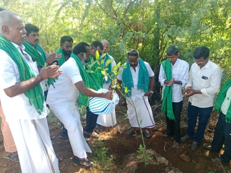 வாடிப்பட்டி பெருமாள் கண்மாய் பகுதியில் 123 மரக்கன்றுகள் நடவு பேரூராட்சி தலைவர் தொடங்கி வைத்தார்.