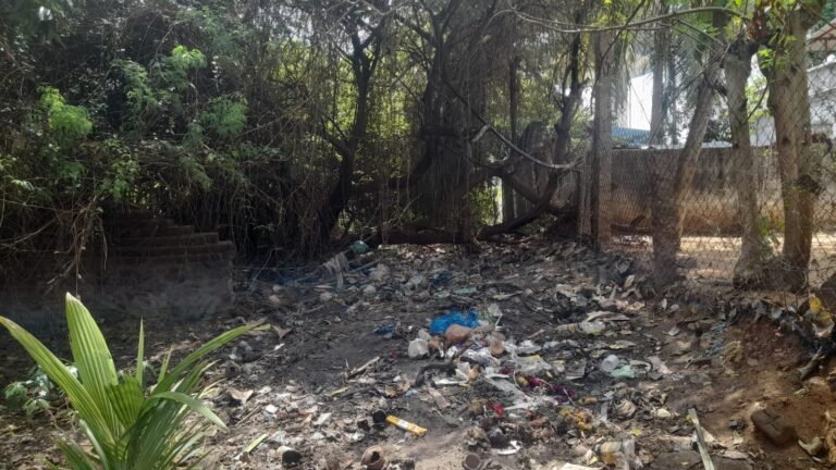 திருவாலவாயநல்லூர் கிராமத்தில் சப்பானி மந்தை கருப்புசாமி கோவிலில் இருந்து சுந்தரவல்லி அம்மன் கோவிலுக்கு செல்லும் பொதுப்பாதையை முழுவதுமாக மக்கள் பயன்பாட்டுக்கு கொண்டு வர வேண்டும் பொதுமக்கள் சமூக ஆர்வலர்கள் கோரிக்கை :