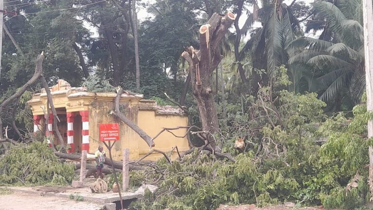 முள்ளிப் பள்ளம் கிராமத்தில் கும்பாபிஷேகம் பணிகளை தொடங்க இடையூறாக இருந்த மரம் அகற்றம் அதிகாரிகள் நடவடிக்கை