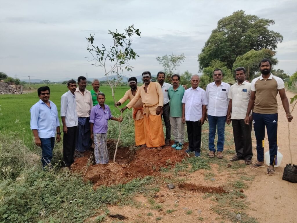 போடிநாயக்கன்பட்டி பெரியாறு பாசன கால்வாய் பகுதியில் மரக்கன்று நடவு