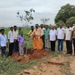 போடிநாயக்கன்பட்டி பெரியாறு பாசன கால்வாய் பகுதியில் மரக்கன்று நடவு