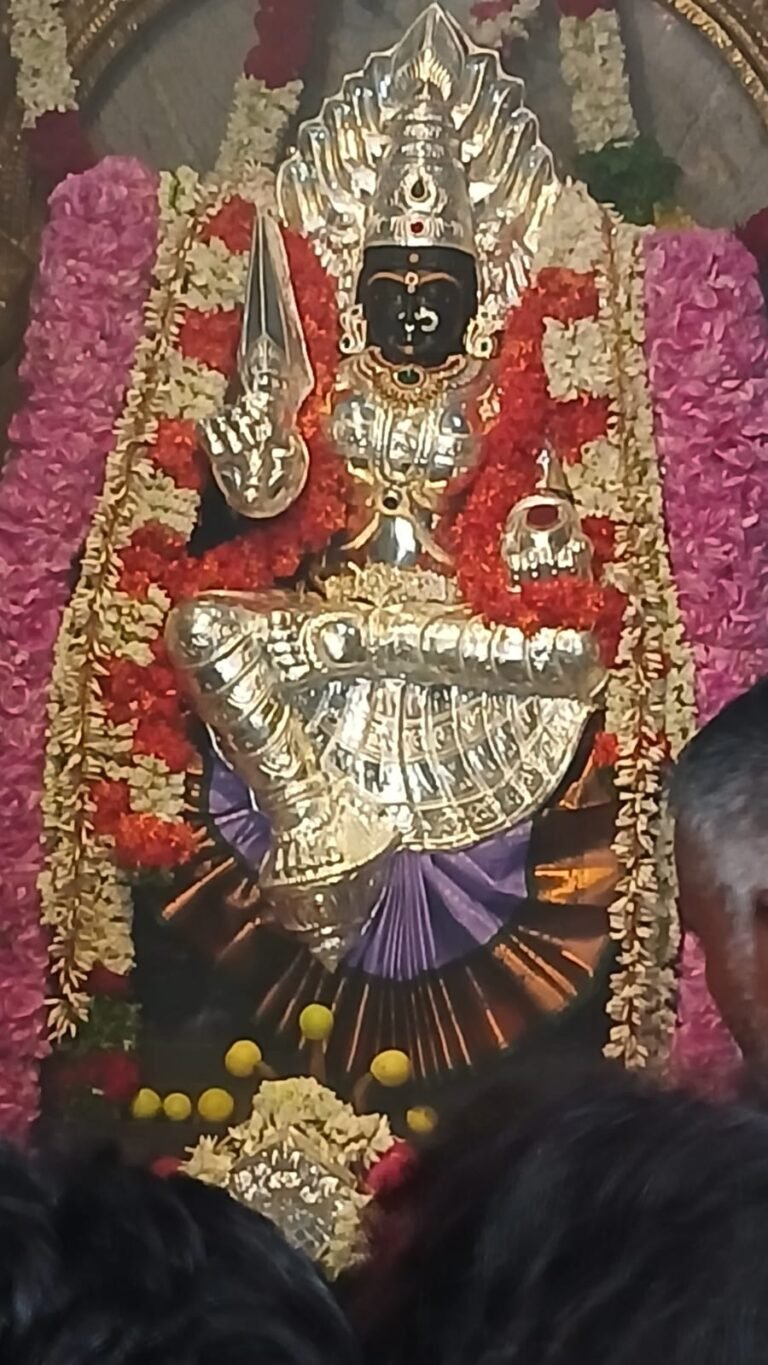 அம்மனுக்கு வெள்ளிக் கவசம் :