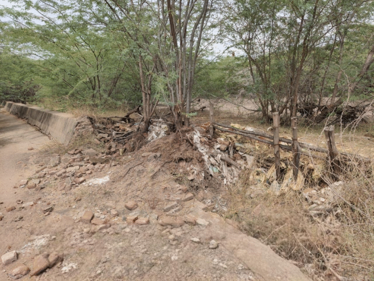 சாயல்குடி அருகே ஒச்சத்தேவன் கோட்டை கண்மாய் அணை பழுது – மக்கள் குரலாக நாம் தமிழர் கட்சி மனு..!