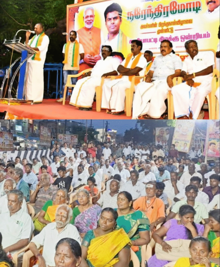 காரியாபட்டியில் பா.ஜ.க. பிரச்சார கூட்டம்...