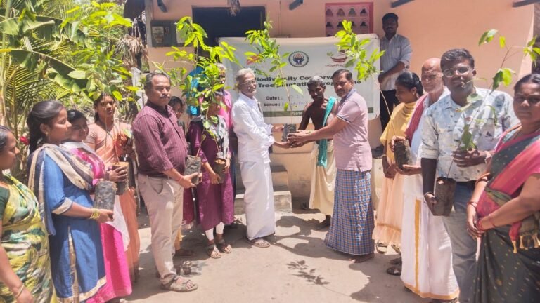 காரியாபட்டி ஒன்றியத் தில் சுற்றுச் சூழல் பாதுகாப்பை வலியுறுத்தி 50 - ஆயிரம் மரக்கன்றுகள் நடும் திட்டம் துவக்கம்...