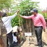 மாவட்ட ஆட்சியர் பல்வேறு பணிகளை ஆய்வு செய்தார்