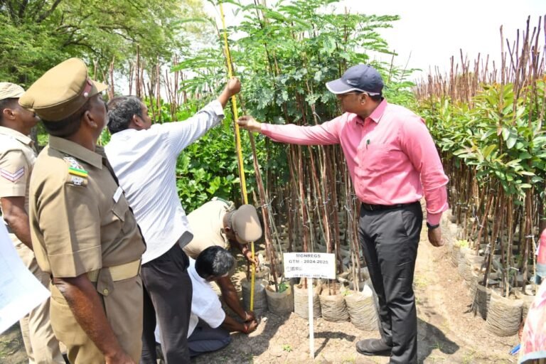 மாவட்ட ஆட்சியர் பல்வேறு பணிகளை ஆய்வு செய்தார்