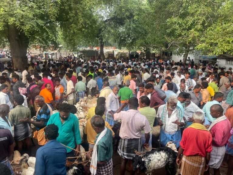 வாடிப்பட்டி வார சந்தையில் தீபாவளிக்கு ரூ.50 லட்சத்திற்கு ஆடுகள் விற்பனை