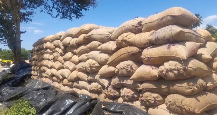 சோழவந்தான் தொகுதிக்குட்பட்ட பல்வேறு பகுதிகளில் கொள்முதல் நிலையங்களில் குவித்து வைக்கப்பட்டுள்ள 5000க்கும் மேற்பட்ட நெல் மூட்டைகள் மழையில் நனைந்து வீணாக கூடிய சூழ்நிலை இருப்பதாக விவசாயிகள் குமுறல்: