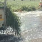 மதுரை வெள்ளக்கல் கழிவு நீர் சுத்திகரிப்பு நிலையத்திலிருந்து பைப் உடைந்து சாலையில் பாய்ந்து ஓடும் கழிவு நீரால் பொதுமக்கள், வாகன ஓட்டிகள் அவதி...