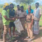 விக்கிரமங்கலம் அருகே கிணற்றில் விழுந்த மயில்களை உயிருடன் மீட்டு வனத்துறையிடம் ஒப்படைத்த சோழவந்தான் தீயணைப்புத் துறையினர்