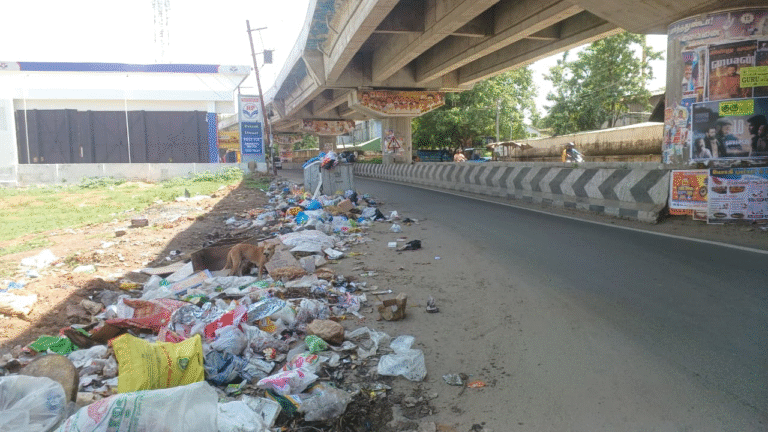 மாநகராட்சிக்கு எல்லைக்கு உட்பட்ட பல்வேறு பகுதிகளில் குப்பைகள் அள்ளப்படாமல் துர்நாற்றத்துடன் வீசுகிறது நோய் தொற்று பரவும் அபாயம்..!