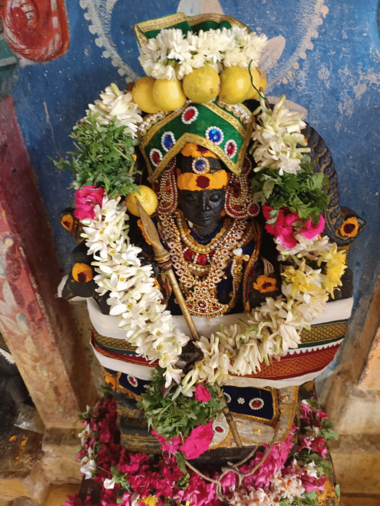 அன்னப் பாவடை அபிஷேகம்: