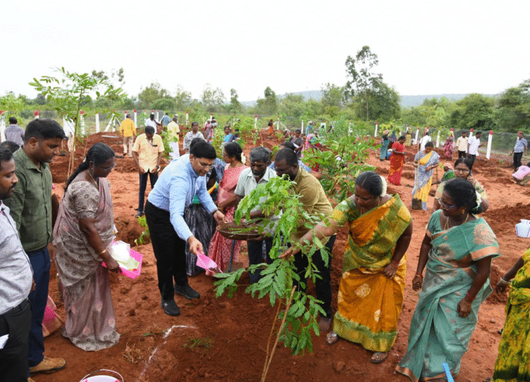 மரக்கன்றுகள் நடும் பணி. ஆட்சிய..