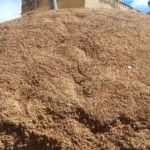 சோழவந்தான் பகுதியில் தொடர் கன மழையால் சுமார் 1000 ஏக்கருக்கு மேல் நீரில் மூழ்கிய நெல் பயிர்கள் வேதனையுடன் விவசாயிகள்…. தமிழ்நாடு அரசு காப்பீடு செய்து நிவாரணம் வழங்க கோரிக்கை.!