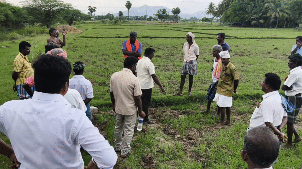 உசிலம்பட்டி அருகே கோவிலுக்கு சென்று வர சாலை அமைக்க கோரிக்கை: